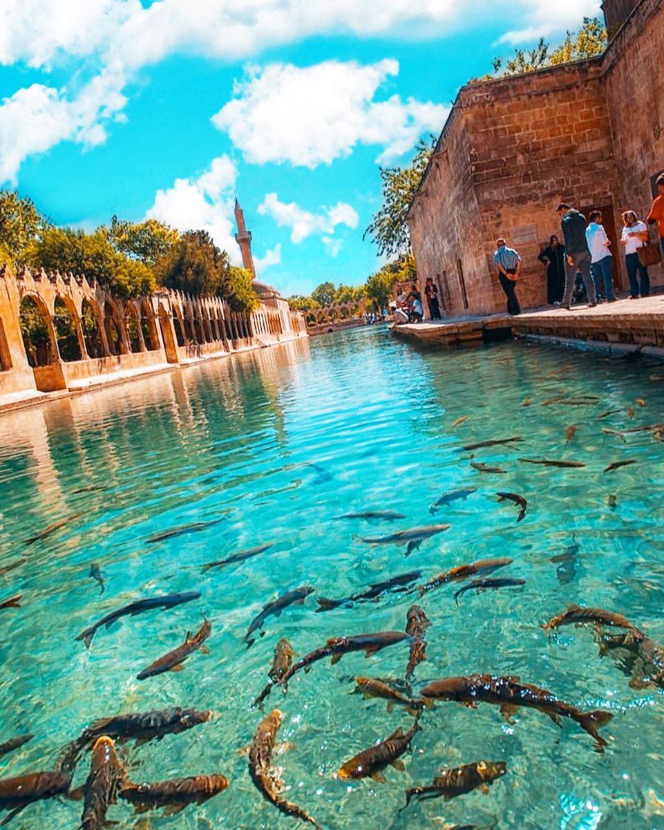 1-	7 HAZİRAN  GAP TURU  (5 GECE / 7 GÜN)